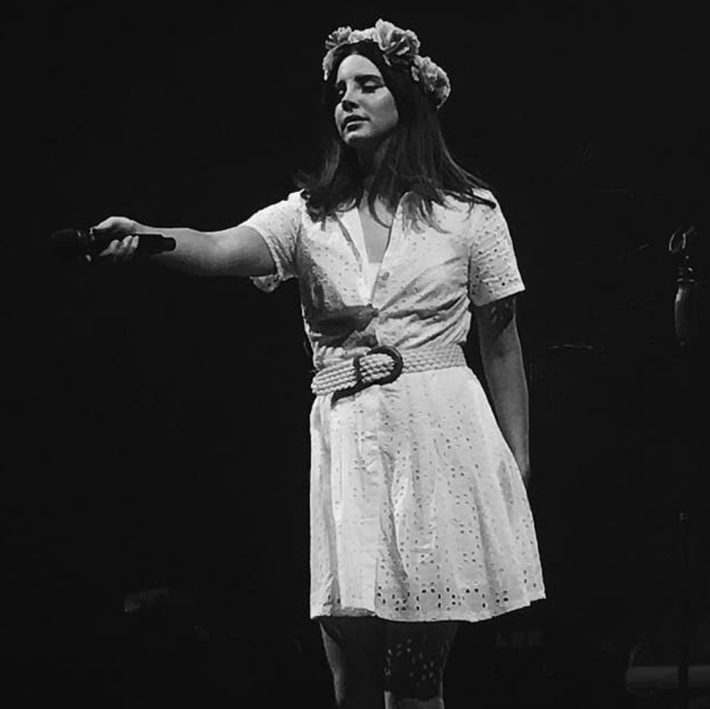 SOLD Lana Del Rey dress - Picture 10 of 10